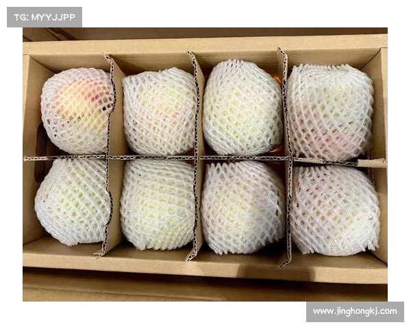 水蜜桃粉球衣狂销!无锡队主场首胜引爆抢购热潮 水蜜桃粉球衣狂销!无锡队主场首胜引爆抢购热潮